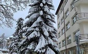 Apartament U Maliny